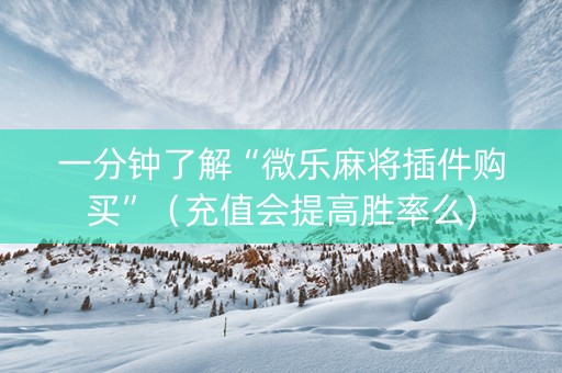 一分钟了解“微乐麻将插件购买”（充值会提高胜率么)