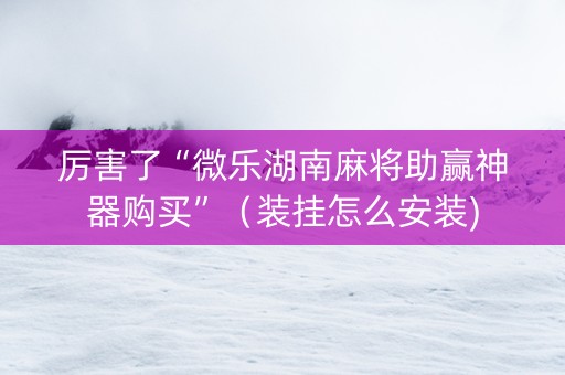 厉害了“微乐湖南麻将助赢神器购买”（装挂怎么安装)