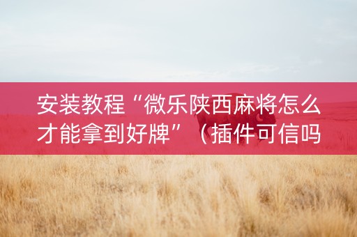 安装教程“微乐陕西麻将怎么才能拿到好牌”（插件可信吗)