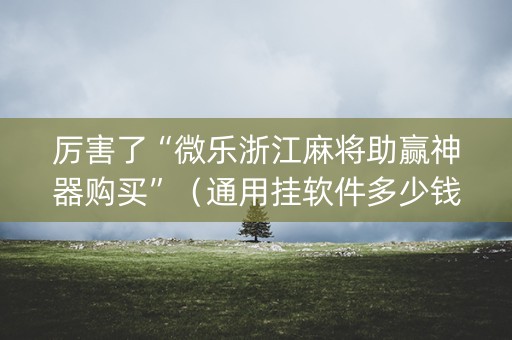 厉害了“微乐浙江麻将助赢神器购买”（通用挂软件多少钱)