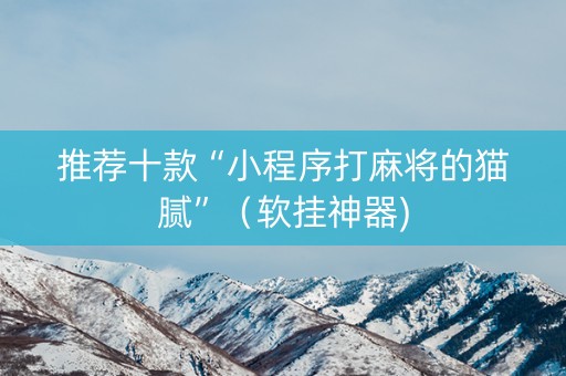 推荐十款“小程序打麻将的猫腻”（软挂神器)