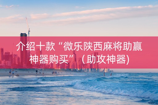 介绍十款“微乐陕西麻将助赢神器购买”（助攻神器)