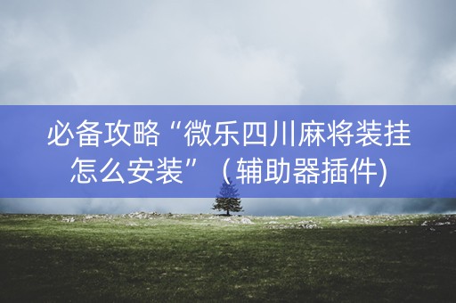 必备攻略“微乐四川麻将装挂怎么安装”（辅助器插件)