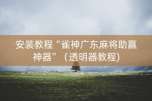 安装教程“雀神广东麻将助赢神器”（透明器教程)