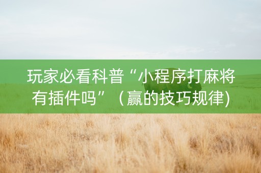 玩家必看科普“小程序打麻将有插件吗”（赢的技巧规律)