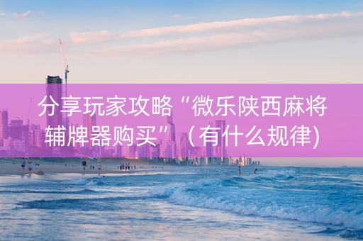 分享玩家攻略“微乐陕西麻将辅牌器购买”（有什么规律)