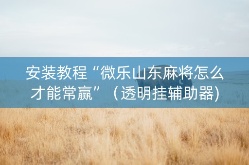 安装教程“微乐山东麻将怎么才能常赢”（透明挂辅助器)