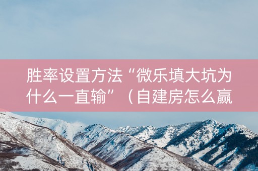 胜率设置方法“微乐填大坑为什么一直输”（自建房怎么赢)