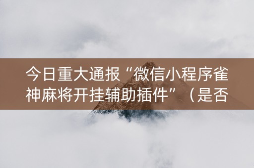 今日重大通报“微信小程序雀神麻将开挂辅助插件”（是否能开挂)