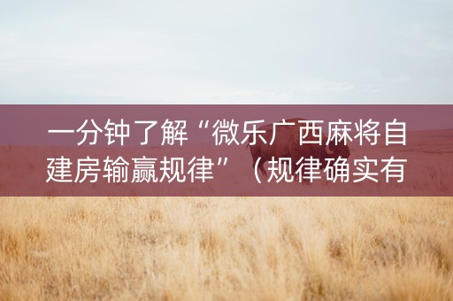 一分钟了解“微乐广西麻将自建房输赢规律”（规律确实有挂)