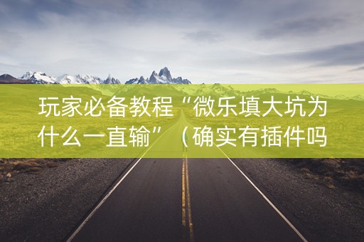 玩家必备教程“微乐填大坑为什么一直输”（确实有插件吗)