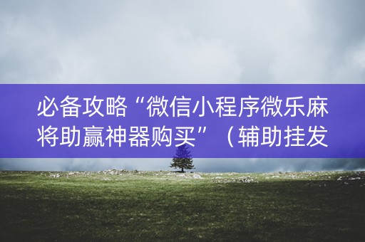 必备攻略“微信小程序微乐麻将助赢神器购买”（辅助挂发牌规律)