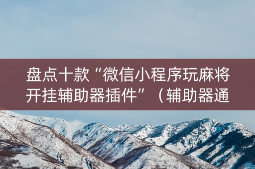 盘点十款“微信小程序玩麻将开挂辅助器插件”（辅助器通用版)