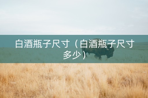 白酒瓶子尺寸（白酒瓶子尺寸多少）