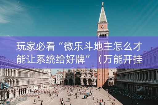 玩家必看“微乐斗地主怎么才能让系统给好牌”（万能开挂器)