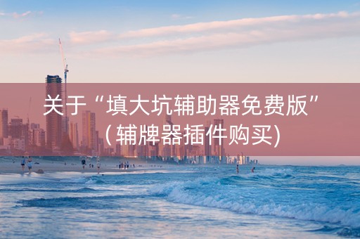 关于“填大坑辅助器免费版”（辅牌器插件购买)