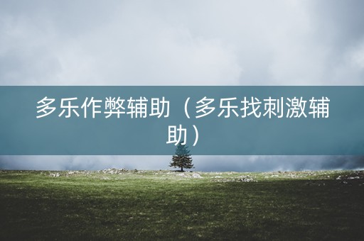 多乐作弊辅助（多乐找刺激辅助）