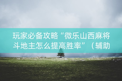 玩家必备攻略“微乐山西麻将斗地主怎么提高胜率”（辅助器插件)