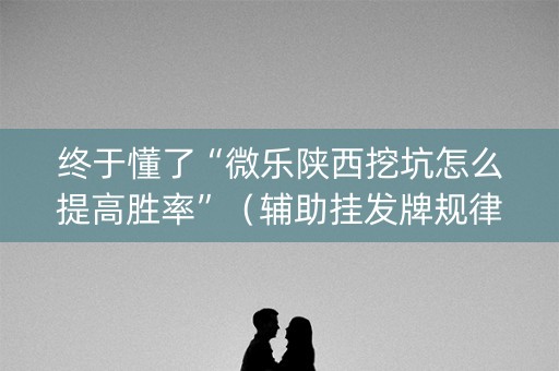 终于懂了“微乐陕西挖坑怎么提高胜率”（辅助挂发牌规律)
