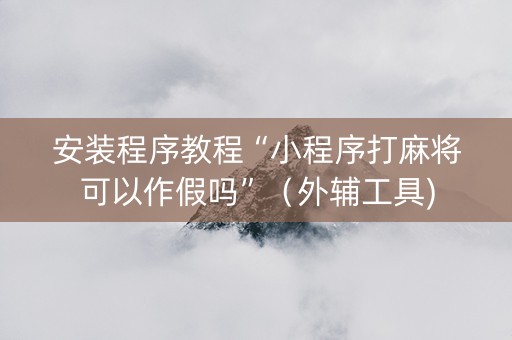 安装程序教程“小程序打麻将可以作假吗”（外辅工具)