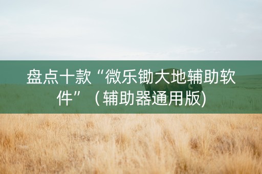 盘点十款“微乐锄大地辅助软件”（辅助器通用版)
