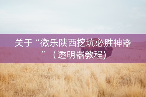 关于“微乐陕西挖坑必胜神器”（透明器教程)