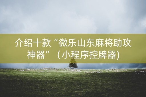 介绍十款“微乐山东麻将助攻神器”（小程序控牌器)