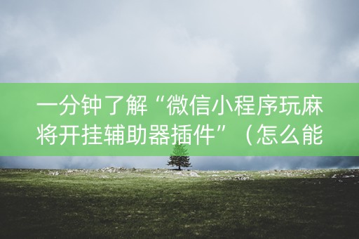一分钟了解“微信小程序玩麻将开挂辅助器插件”（怎么能得到好牌)