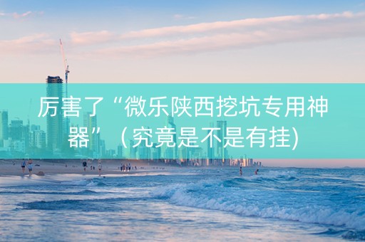 厉害了“微乐陕西挖坑专用神器”（究竟是不是有挂)