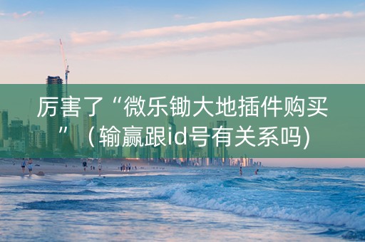 厉害了“微乐锄大地插件购买”（输赢跟id号有关系吗)