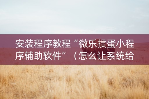 安装程序教程“微乐掼蛋小程序辅助软件”（怎么让系统给你发好牌)