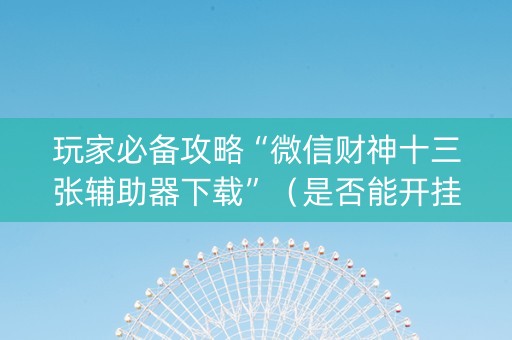 玩家必备攻略“微信财神十三张辅助器下载”（是否能开挂)