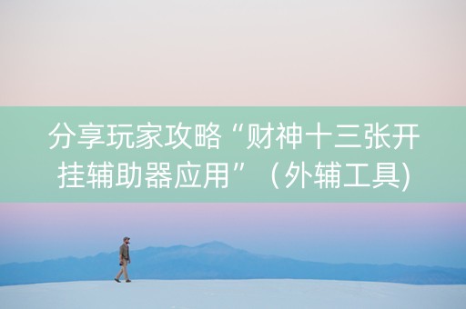 分享玩家攻略“财神十三张开挂辅助器应用”（外辅工具)