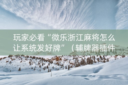玩家必看“微乐浙江麻将怎么让系统发好牌”（辅牌器插件购买)