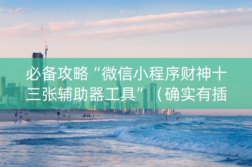 必备攻略“微信小程序财神十三张辅助器工具”（确实有插件吗)