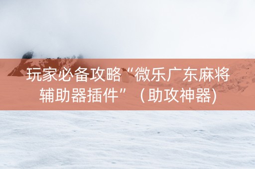 玩家必备攻略“微乐广东麻将辅助器插件”（助攻神器)