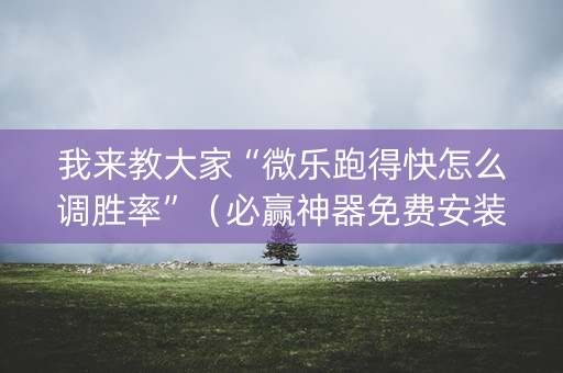 我来教大家“微乐跑得快怎么调胜率”（必赢神器免费安装)