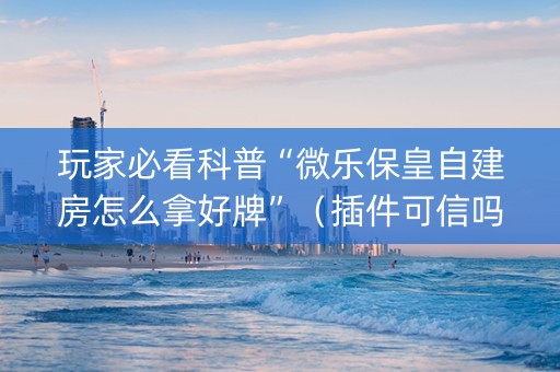 玩家必看科普“微乐保皇自建房怎么拿好牌”（插件可信吗)