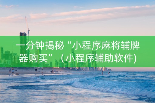 一分钟揭秘“小程序麻将辅牌器购买”（小程序辅助软件)