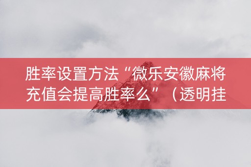 胜率设置方法“微乐安徽麻将充值会提高胜率么”（透明挂辅助器)