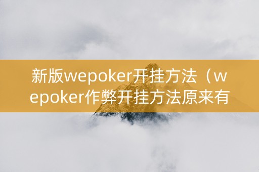 新版wepoker开挂方法（wepoker作弊开挂方法原来有挂）