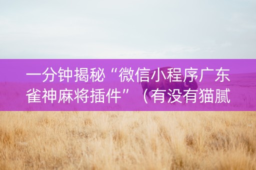 一分钟揭秘“微信小程序广东雀神麻将插件”（有没有猫腻)