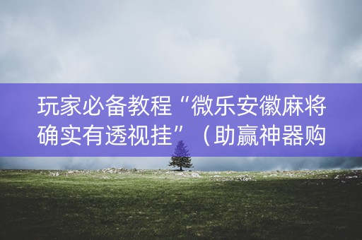 玩家必备教程“微乐安徽麻将确实有透视挂”（助赢神器购买)