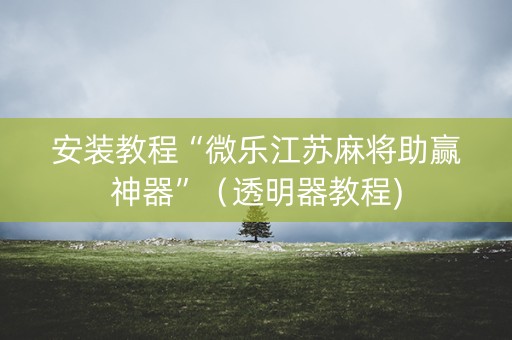 安装教程“微乐江苏麻将助赢神器”（透明器教程)