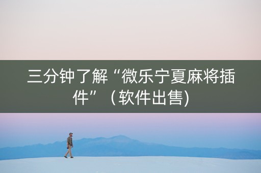 三分钟了解“微乐宁夏麻将插件”（软件出售)