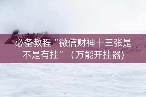 必备教程“微信财神十三张是不是有挂”（万能开挂器)