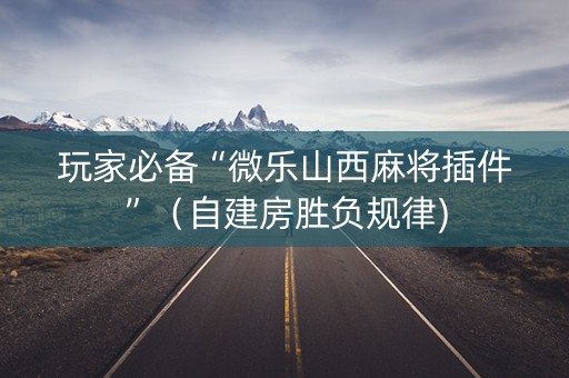 玩家必备“微乐山西麻将插件”（自建房胜负规律)