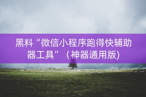 黑料“微信小程序跑得快辅助器工具”（神器通用版)