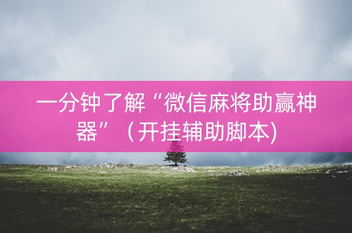 一分钟了解“微信麻将助赢神器”（开挂辅助脚本)