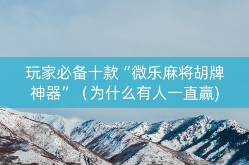玩家必备十款“微乐麻将胡牌神器”（为什么有人一直赢)